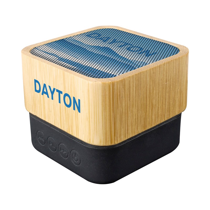 Dayton Wireless Speaker (Stock)