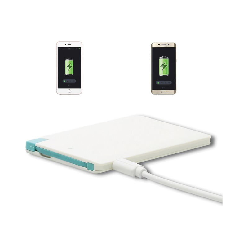 Fullsome Power Bank