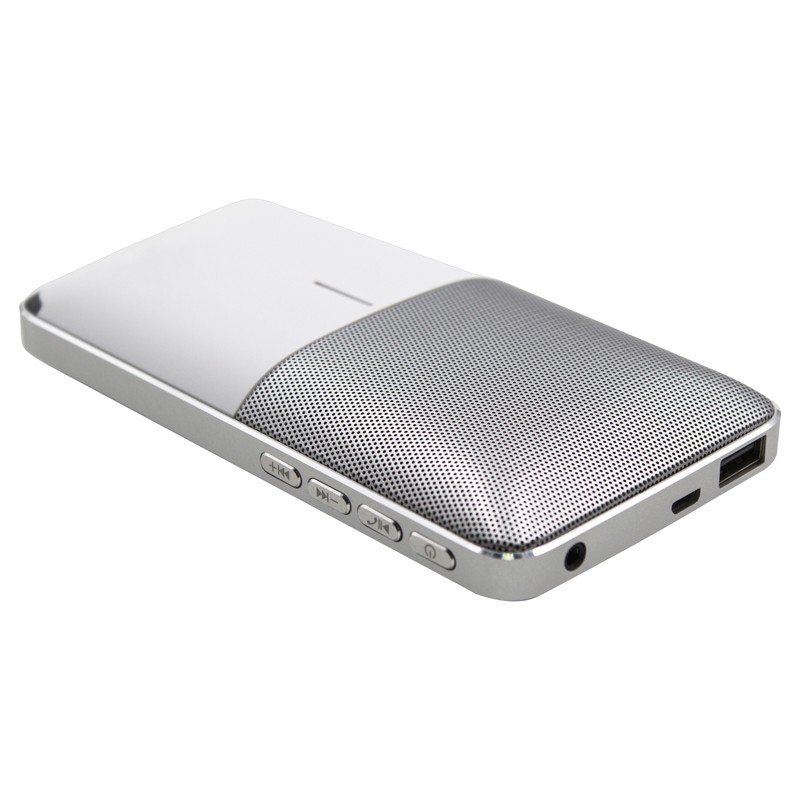 Fusion Bluetooth Speaker Powerbank