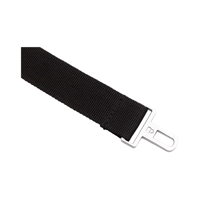 Phantom Anti-Theft BackPac
