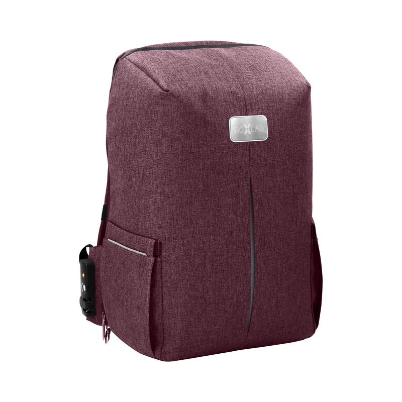 Phantom Anti-Theft BackPac