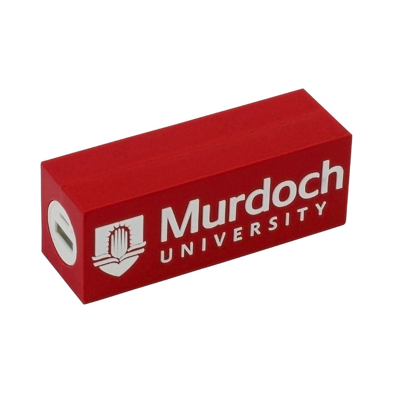 Custom Power Bank