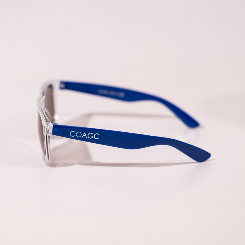 Haze Sunglasses