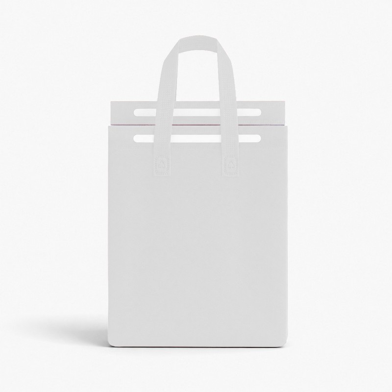 8L Insulated Reusable Bag