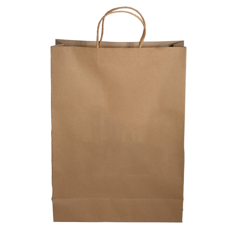 Paper Shopping Bag