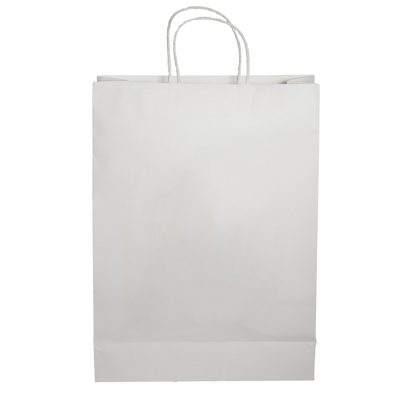 Paper Shopping Bag